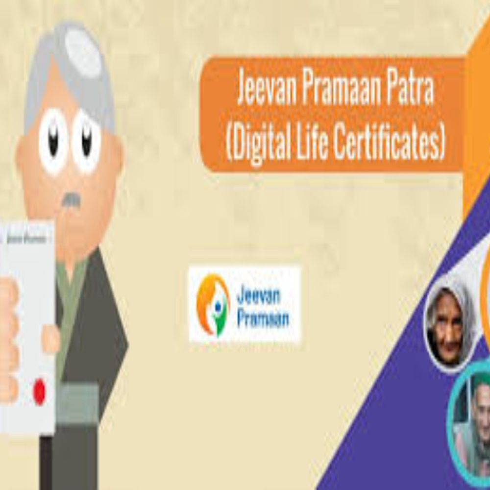 निराश्रित पेंशनधारकों के लिए डीएलसी सत्यापन सुविधा:  घर बैठे मोबाइल से करें वेरिफिकेशन, प्रोसेस पूरा नहीं करने पर आ सकती है दिक्कतें – Raipur News