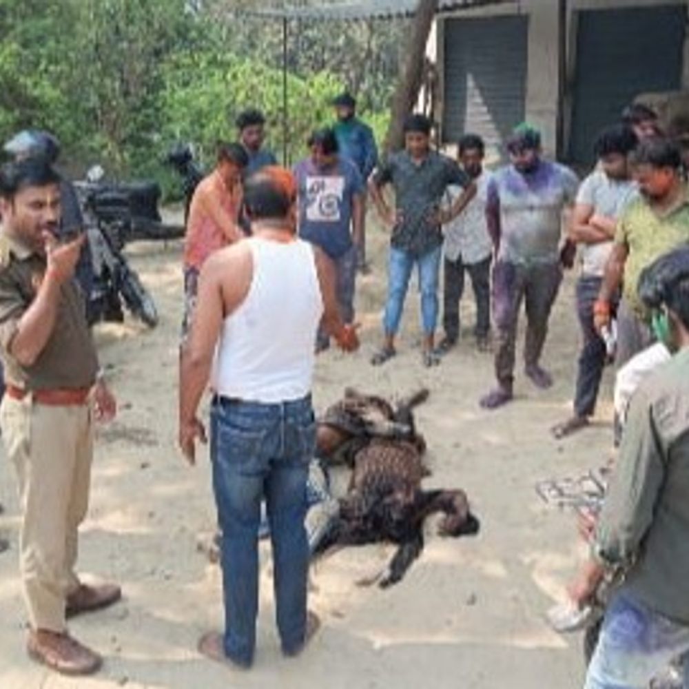 आजमगढ़ में सड़क हादसे में महिला और मासूम की मौत:तेज रफ्तार कार ने मेरी बाइक में जोरदार टक्कर, घायल का चल रहा है इलाज