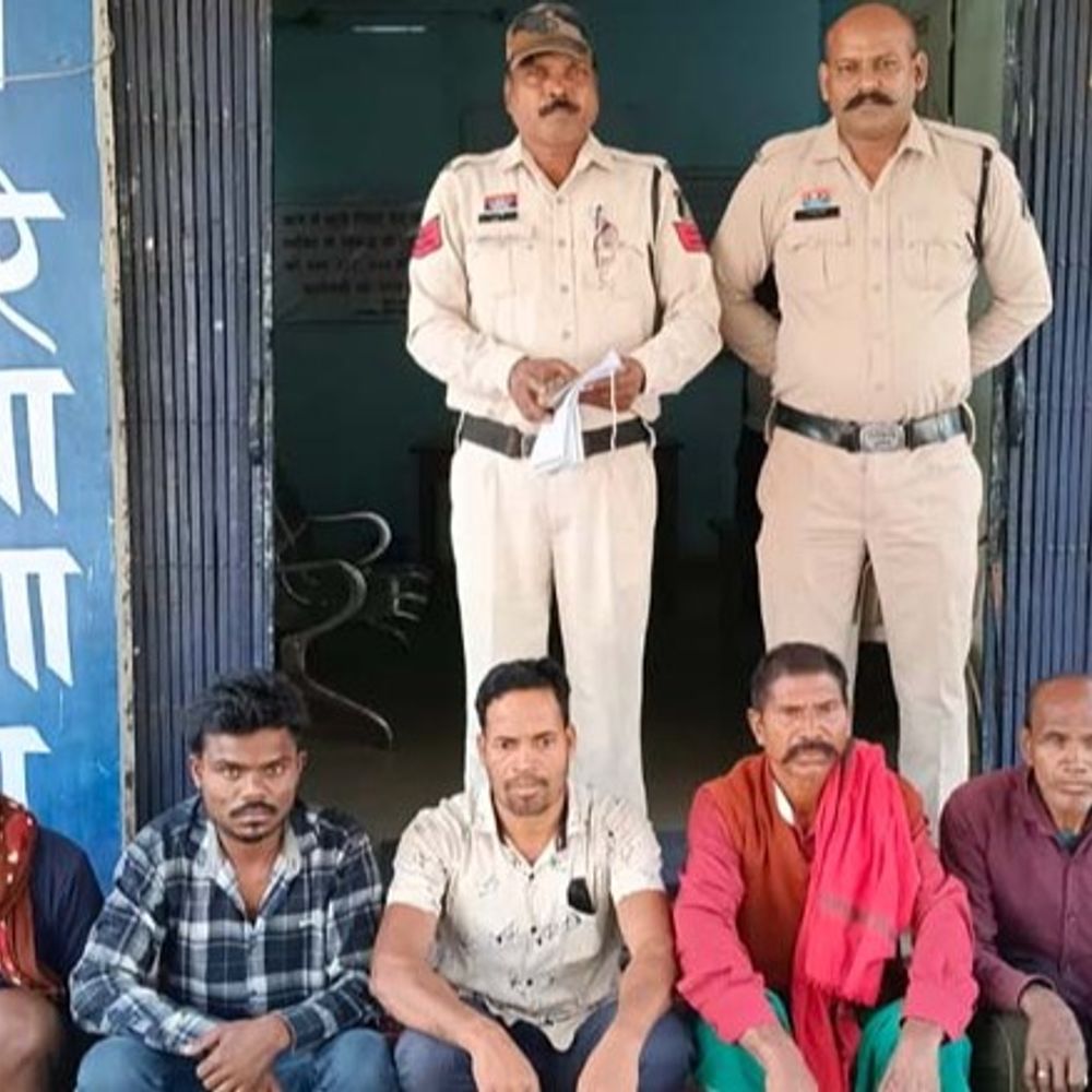 रायगढ़ में 7 मवेशी तस्करों से 18 गौवंश मुक्त:  पुलिस ने आरोपियों को गिरफ्तार किया, मारते- पीटते बूचड़खाने ले जा रहे थे – Raigarh News