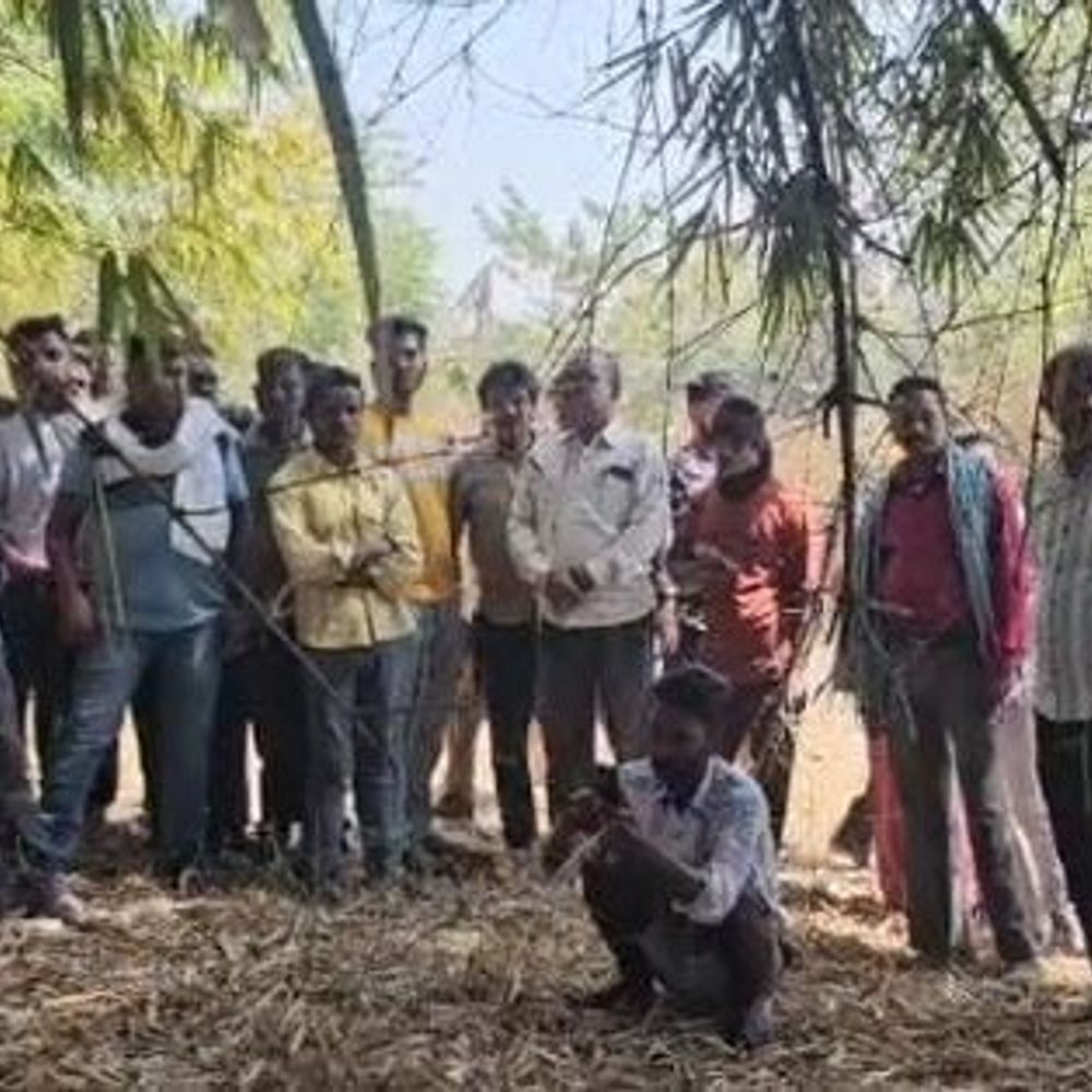 कोरबा में लापता युवक का शव पेड़ से लटका मिला:  होली खेलने निकला था, परिजन हत्या की आशंका जता रहे, पुलिस ने जांच शुरू की – Korba News