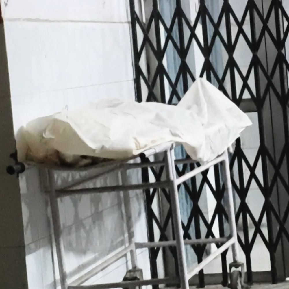 अमरोहा में होली के दिन हुए कई सड़क हादसे:20 से ज्यादा लोग हुए गंभीर घायल, एक एंबुलेंस चालक की भी मौत