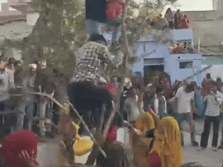 श्योपुर के राड़ेप गांव में लट्ठमार होली:  गुड़ की पोटली पाने पेड़ पर चढ़े पुरुषों पर महिलाओं ने बरसाईं लाठियां – Sheopur News