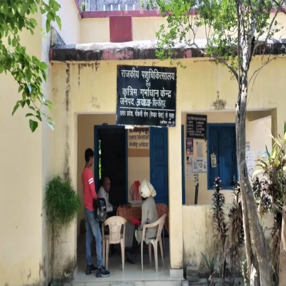 बजट के अभाव में आधे कर्मचारियों को नहीं मिला वेतन:दैनिक भास्कर की खबर के बाद पशुपालन विभाग ने 1501.71 करोड़ किया जारी