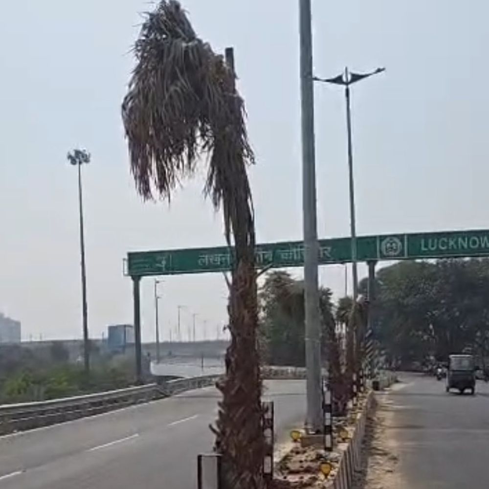 उद्घाटन से पहले ग्रीन कॉरिडोर की हरियाली सूखी:लाखों खर्च हुए सजावट पर, लोग बोले- कोई न कभी पानी डालता, न ही देखते आता है