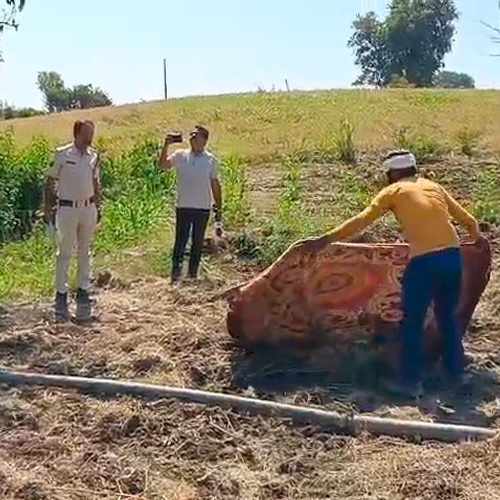 नरसिंहपुर में खेत में मिला युवक का शव:  परिजनों ने जताई प्रेम प्रसंग में हत्या की आशंका – Narsinghpur News