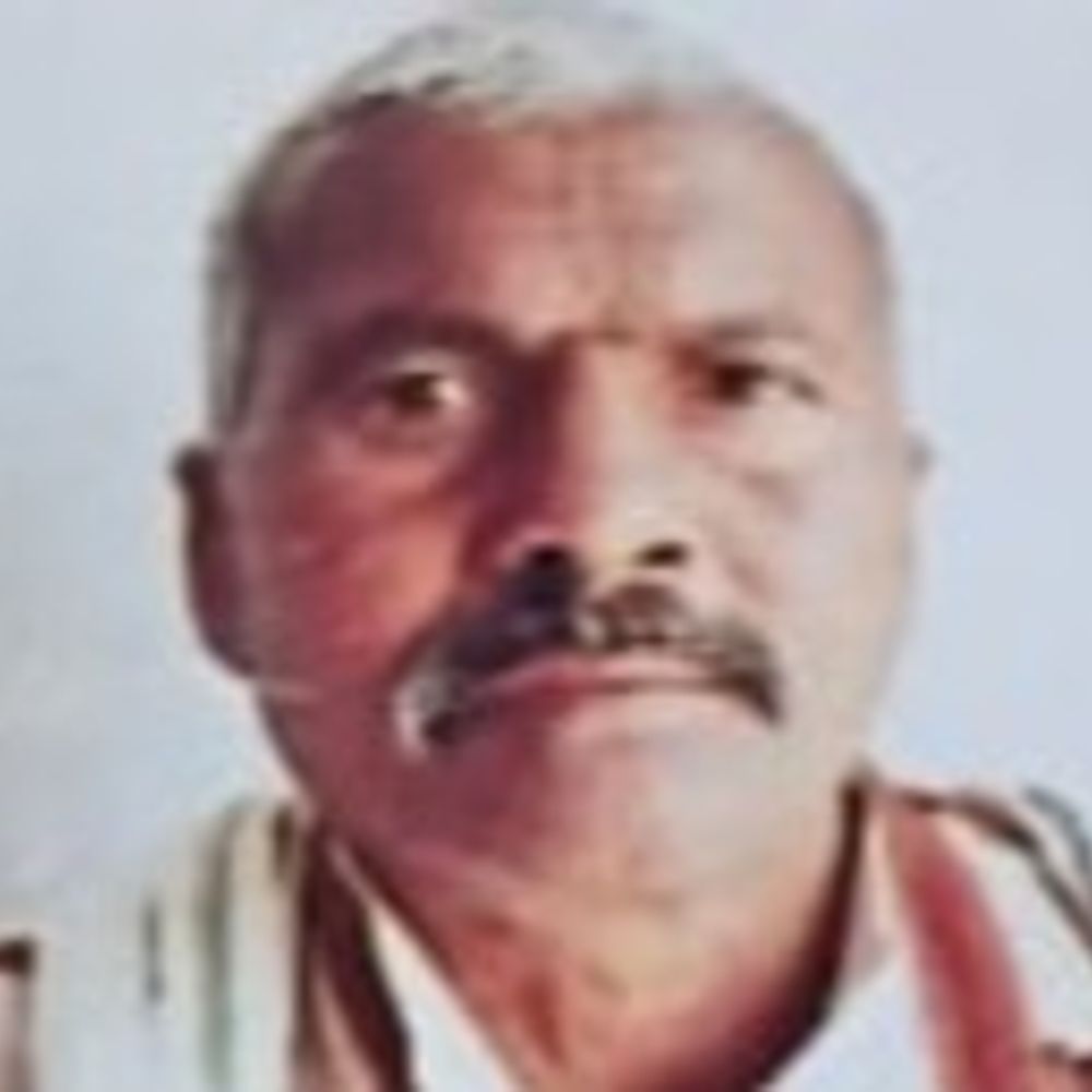 बदायूं में नीलगाय से बाइक टकराई, बुजुर्ग की मौत:बेटा बाल-बाल बचा, पिता होली मिलने रिश्तेदारी जा रहे थे