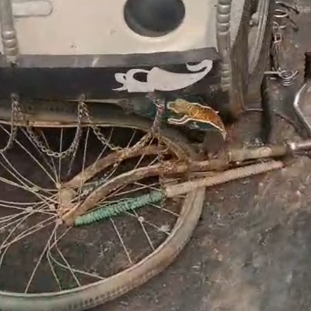 कटिहार में पिकअप की टक्कर से साइकिल सवार की मौत:  एक घायल, मौसी के घर होली मनाने आया था युवक – Katihar News