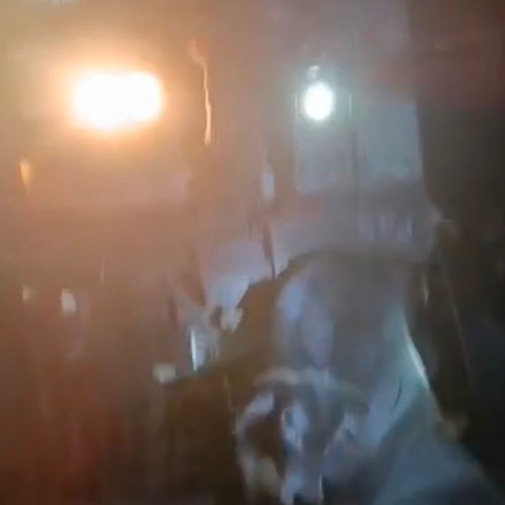 सांड से टकराई एक्सप्रेस ट्रेन, इंजन में फंसा शव:नायकडीह हॉल्ट पर एक घंटे तक यातायात प्रभावित