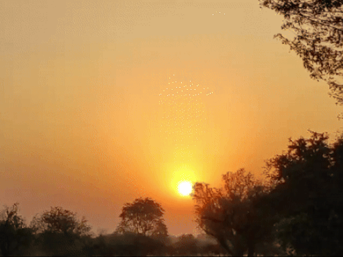 7 दिन मौसम ड्राई,तापमान में बड़े बदलाव के आसार नहीं:  मैदानी इलाकों में पारा 38 डिग्री पार, उत्तर छत्तीसगढ़ में रात में हल्की ठंड – Chhattisgarh News