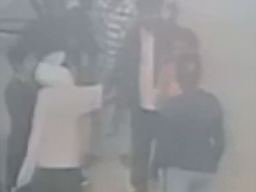 रायपुर में प्रेग्नेंट इंटीरियर डिजाइनर को मारा थप्पड़,VIDEO:टी शर्ट खींची, धक्का दिया, डॉग रेस्क्यू टीम ने बीच सड़क मारपीट की, डॉग-मोबाइल छीने