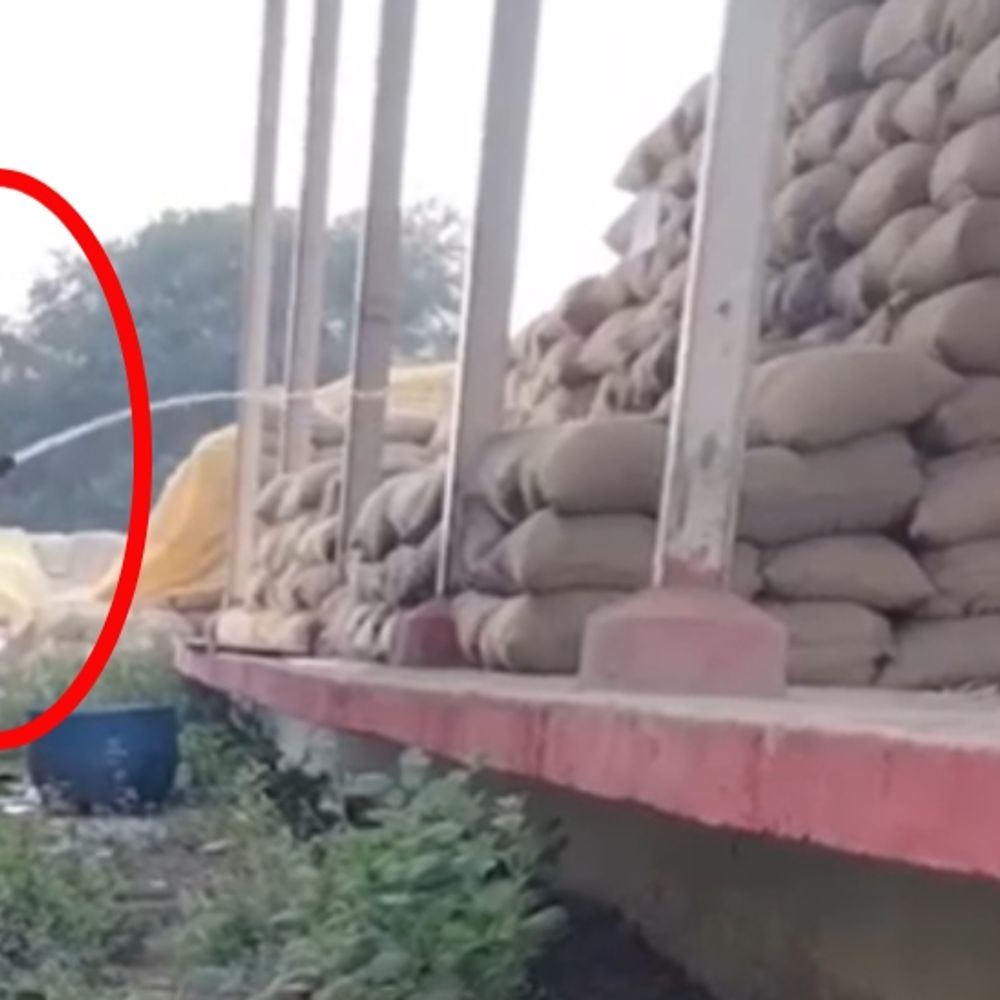 रायपुर में धान के बोरों में कर्मचारियों ने डाला पानी:  VIDEO वायरल होने के बाद FIR दर्ज, 4 कर्मचारी हुए बर्खास्त, ग्रामीणों ने किया था हंगामा – Raipur News