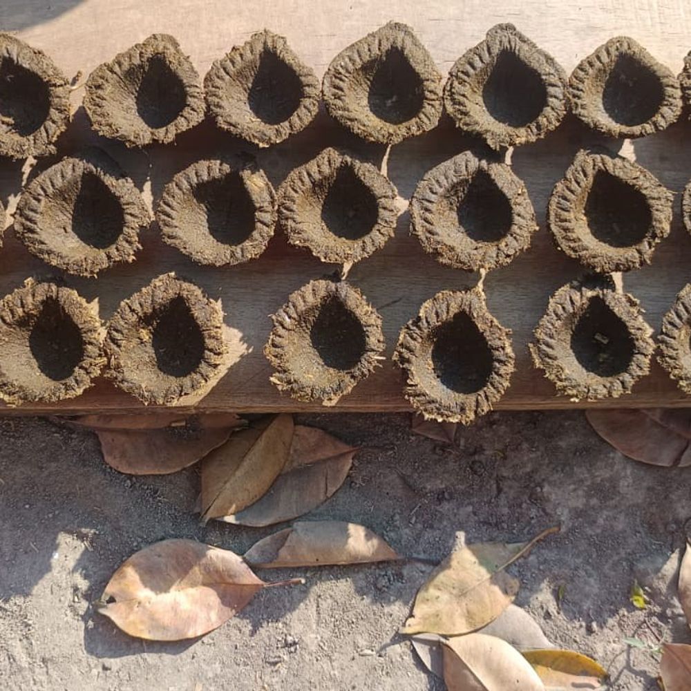 वाराणसी में 6 हजार महिलाएं बनीं आत्मनिर्भर:गाय के गोबर-गोमूत्र से उत्पाद बनाकर जी रहीं सम्मानजनक जीवन, गौमाता की भी हो रही रक्षा