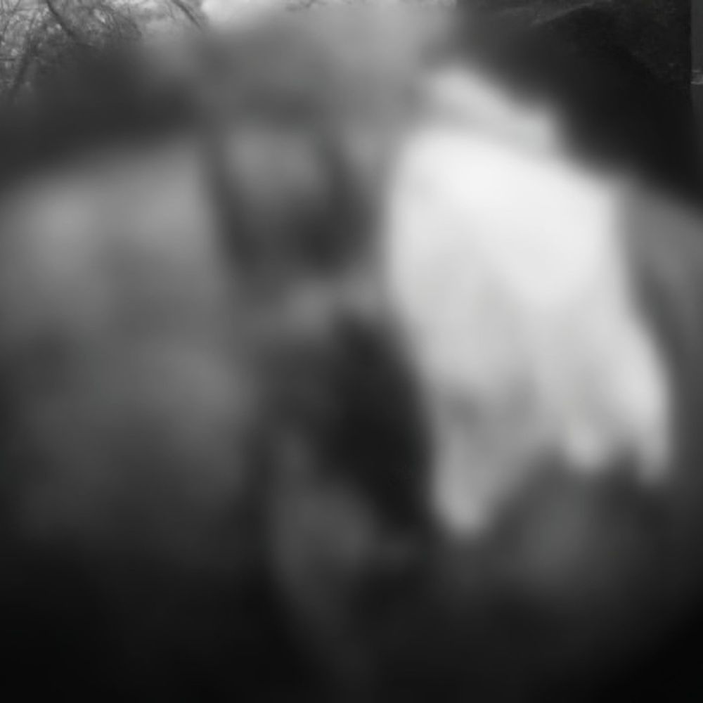 घर के बाहर झगड़ा रोकना महिला को पड़ा भारी:आरोपियों ने ईंट से महिला का सर फोड़ा, महिला गंभीर घायल