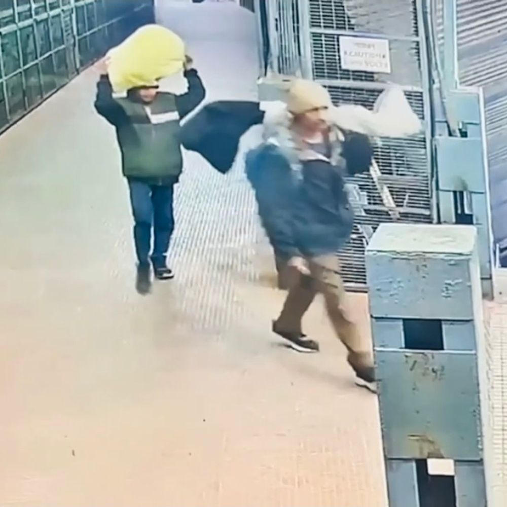 राजस्थान के मंदिर से चोरी 20 किलो चांदी बरामद:  पूर्व पुजारी ने रची साजिश; राजस्थान पुलिस ने कटनी से दो आरोपियों को पकड़ा – Katni News