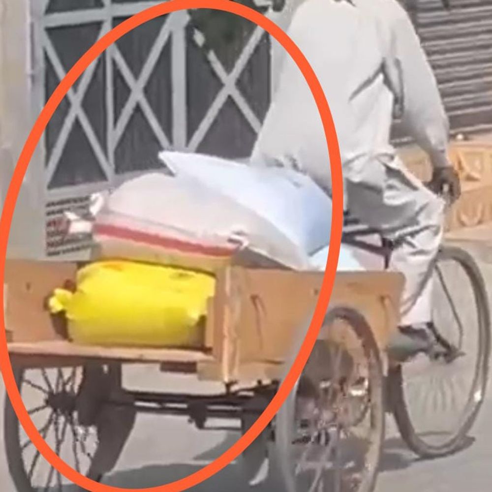 मोगा में मिड डे मील का गेहूं बेचने का आरोप:  वीडियो वायरल, 3.70 क्विंटल गेहूं चक्की पर भेजने का दावा, शिक्षकों ने किया इनकार – Moga News