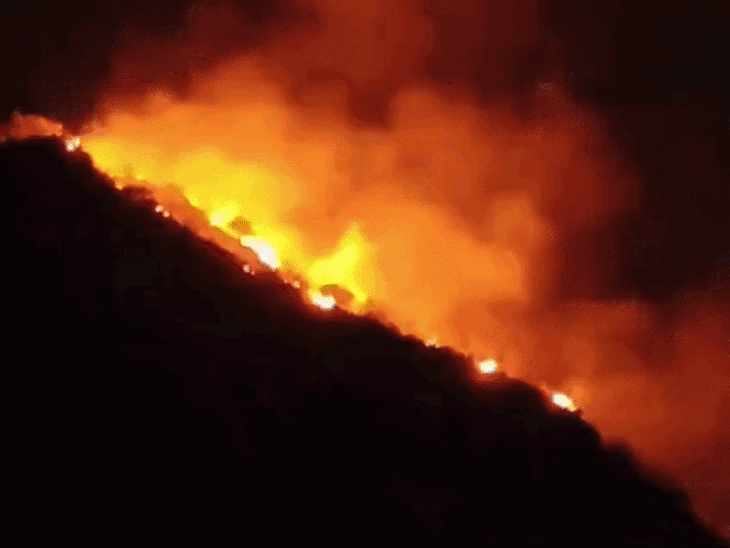 उदयपुर में पहाड़ी पर आग के बीच फंसा टूरिस्ट:  100 नंबर पर कॉल बताया और दम घुटने से हुआ बेहोश, फायर टीम ने डेढ़ घंटे मशक्कत कर रेस्क्यू किया – Udaipur News