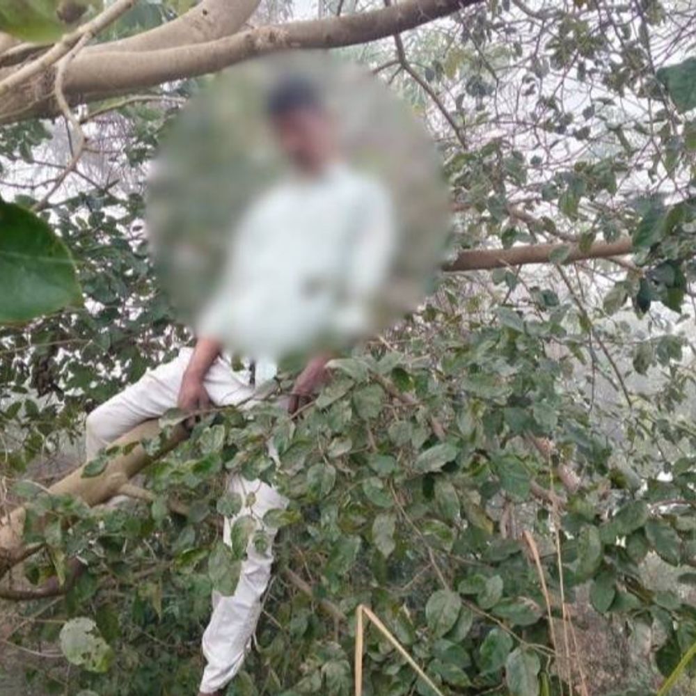 लेखक के बेटे का संदिग्ध परिस्थितियों में मौत:रायबरेली को कोरिहर में पेड़ से लटका मिला शव, सोमवार रात से था लापता