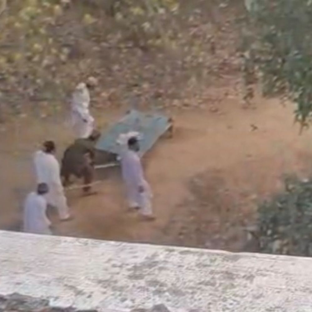 कब्रिस्तान में कुत्ते को पीटा, 5 अज्ञात पर FIR:शाहजहांपुर में वीडियो सामने आया, जीव सहयोग फाउंडेशन ने दर्ज कराया मामला