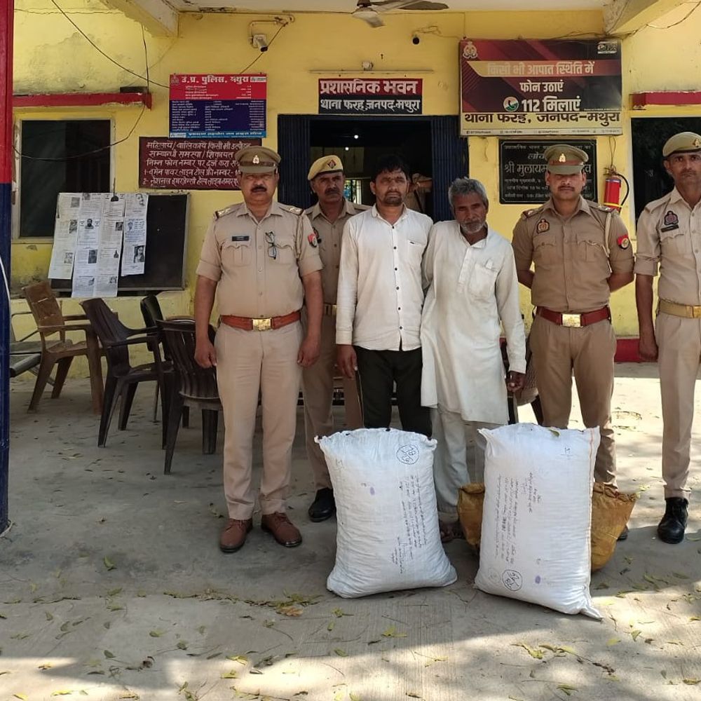 मथुरा में 29 किलो गांजे के साथ दो गिरफ्तार:फरह पुलिस और स्वाट टीम ने संयुक्त कार्रवाई में आरोपियों को पकड़ा