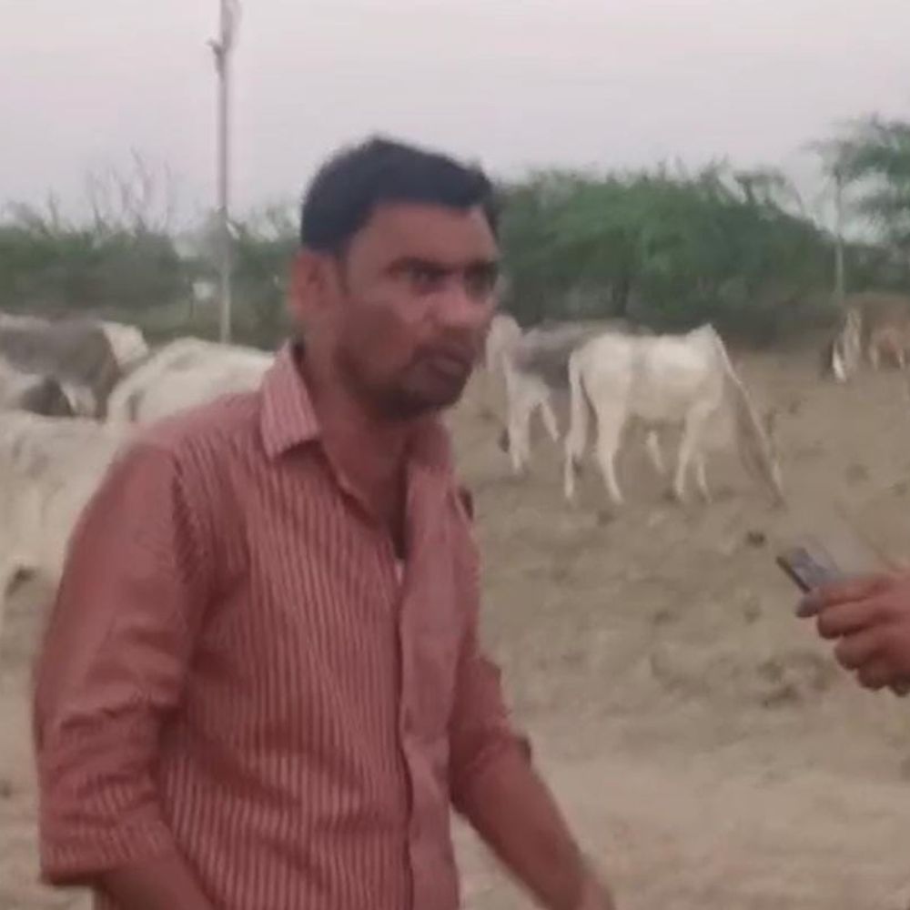 हमीरपुर में प्रधान पर पशु क्रूरता अधिनियम का मुकदमा दर्ज:गौशाला में मृत पड़े गौवंशों का वीडियो आया था सामने, जांच के बाद हुई कार्रवाई