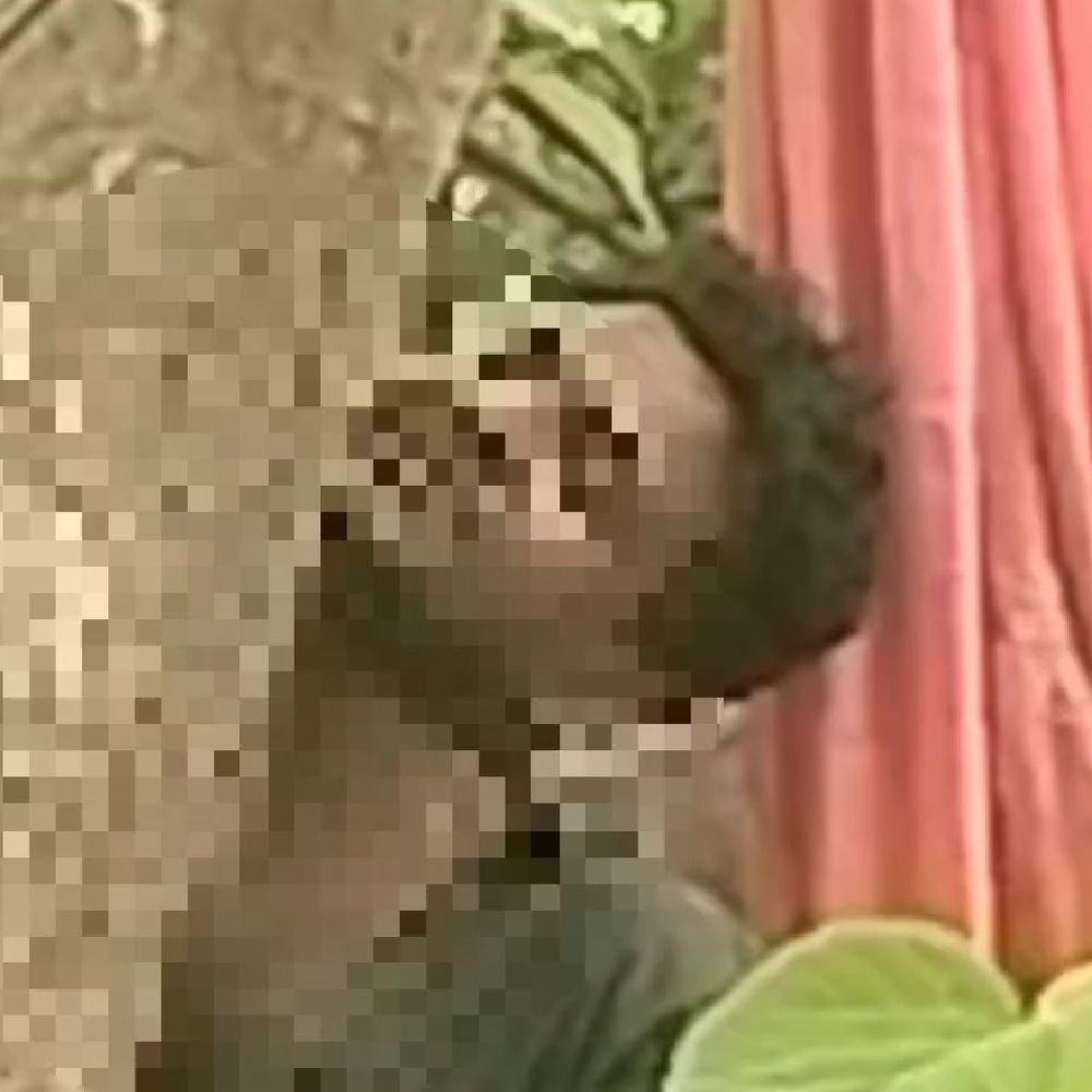 देवरिया में युवक का शव पेड़ से लटका मिला:पेट की बीमारी से परेशान था, नदी किनारे खेल रहे बच्चों ने देखा शव