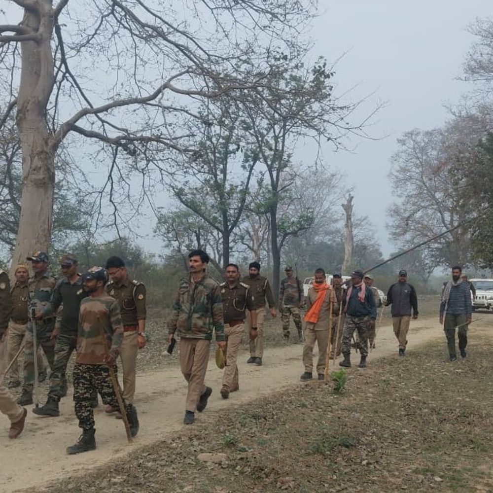अमानगढ़–कार्बेट में संयुक्त फ्लैग मार्च:वन माफियाओं पर नकेल के लिए दो राज्यों का बड़ा ऑपरेशन