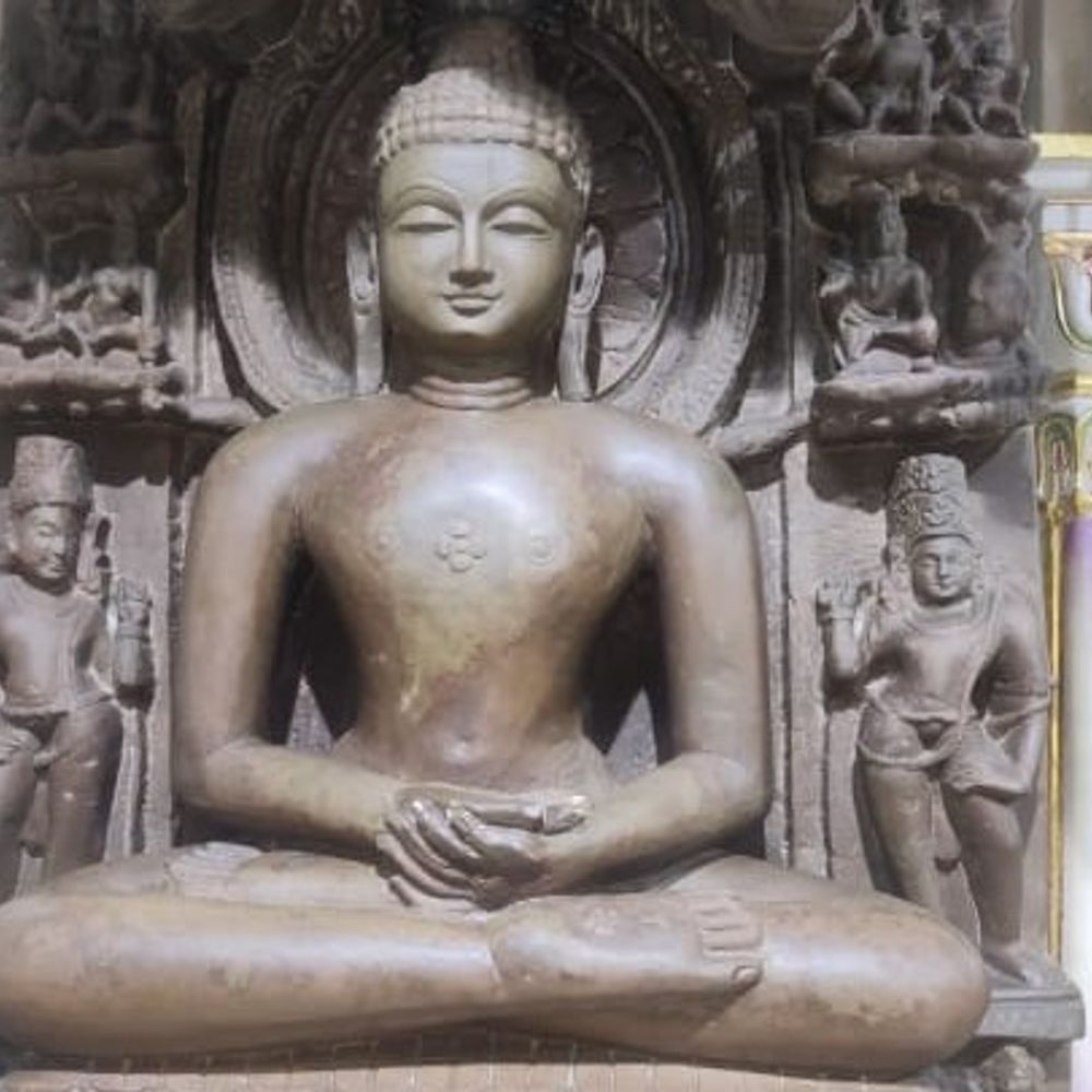 धौलपुर में कल मनाया जाएगा भगवान आदिनाथ का जन्मकल्याणक महोत्सव:  सकल जैन समाज सोने के रथ पर निकालेगा शोभायात्रा – Dholpur News