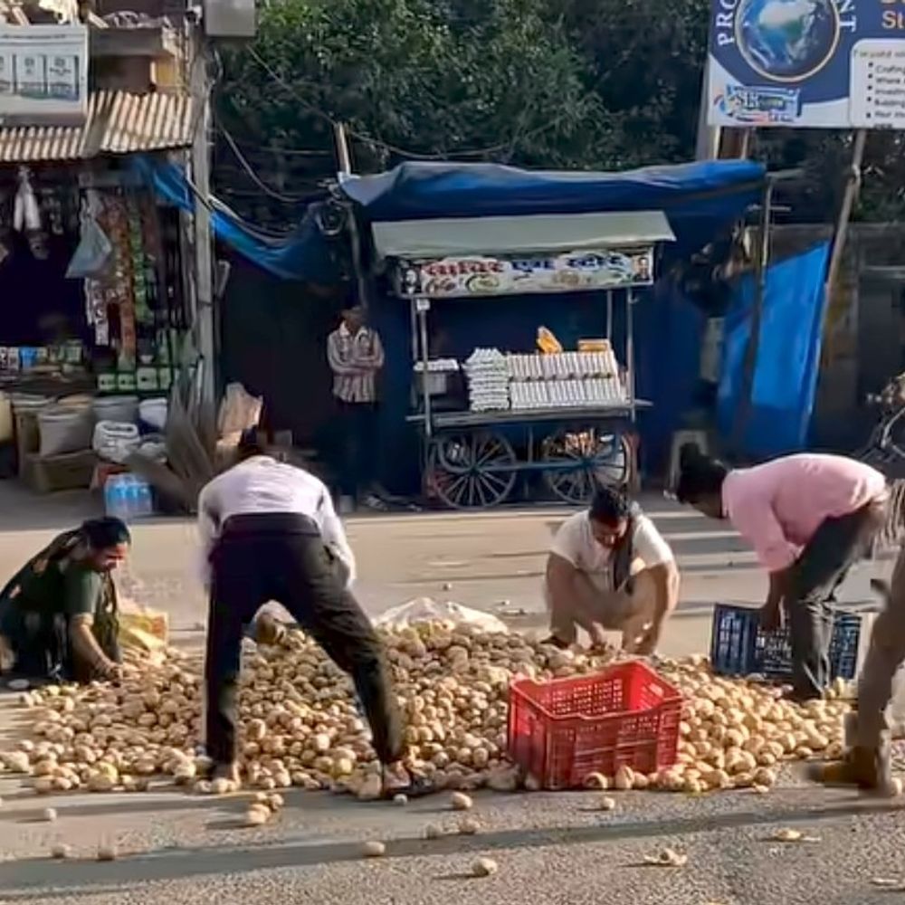 आलू के दाम गिरे, किसान ने सड़क पर फेंके आलू:मैनपुरी के ज्योति तिराहे पर किसान राम सिंह शाक्य का विरोध