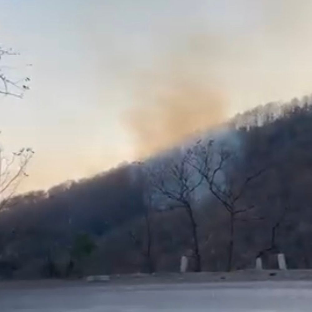 छुहिया घाटी में भीषण आग, 10 हेक्टेयर जंगल प्रभावित:  20 दिन से डेरा डाले हाथियों को बचाने में जुटा वन विभाग; 10 घंटे से उठ रही लपटें – Sidhi News