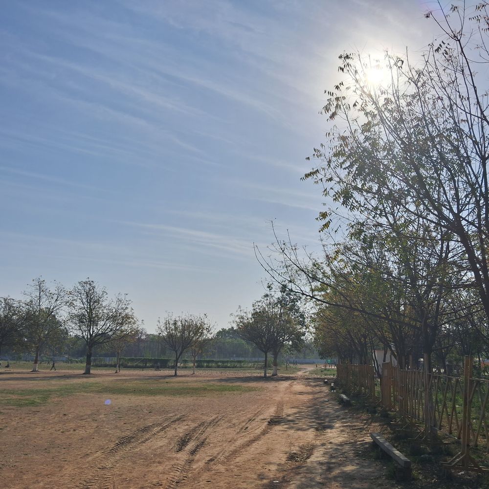 टीकमगढ़ में 38.5 डिग्री पहुंचा पारा:किसान बोले-मार्च में ही गेहूं की कटाई पूरी; अप्रैल से मंडी में आवक शुरू