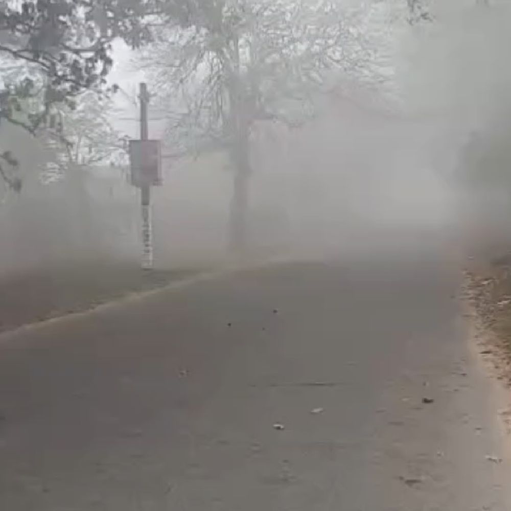 देवरिया में भोर से घना कोहरा:विजिबिलिटी 15 मीटर तक घटी, वाहन चालकों को परेशानी; मौसम बदलने से वायरल के मरीज बढ़े