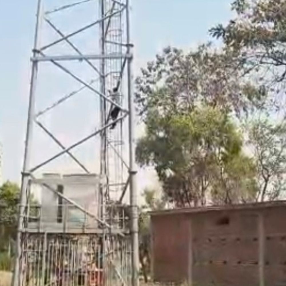 सुल्तानपुर में युवक मोबाइल टावर पर चढ़ा, VIDEO:  पत्नी को ससुराल से न भेजने पर किया प्रदर्शन, पुलिस ने समझाकर नीचे उतारा – Sultanpur News