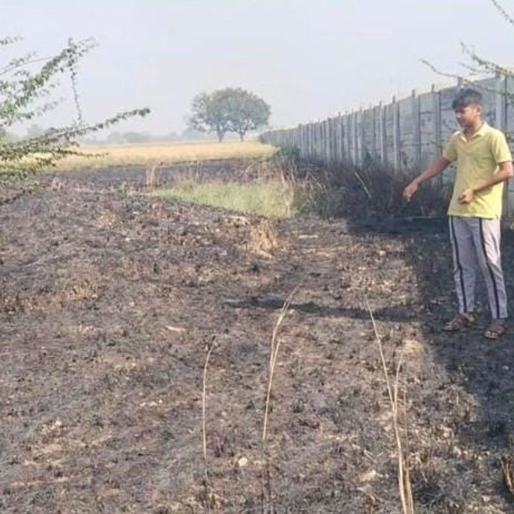फतेहपुर में गेहूं की फसल में लगी आग:120 बीघा फसल जलकर राख, किसानों ने मुआवजे की मांग की
