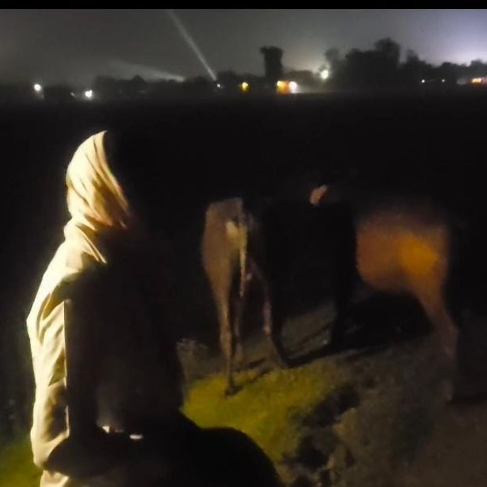 महराजगंज में पशु तस्करी, बाइक मिली पर तस्कर फरार:बरामदगी के बाद भी पुलिस की कार्रवाई पर सवाल