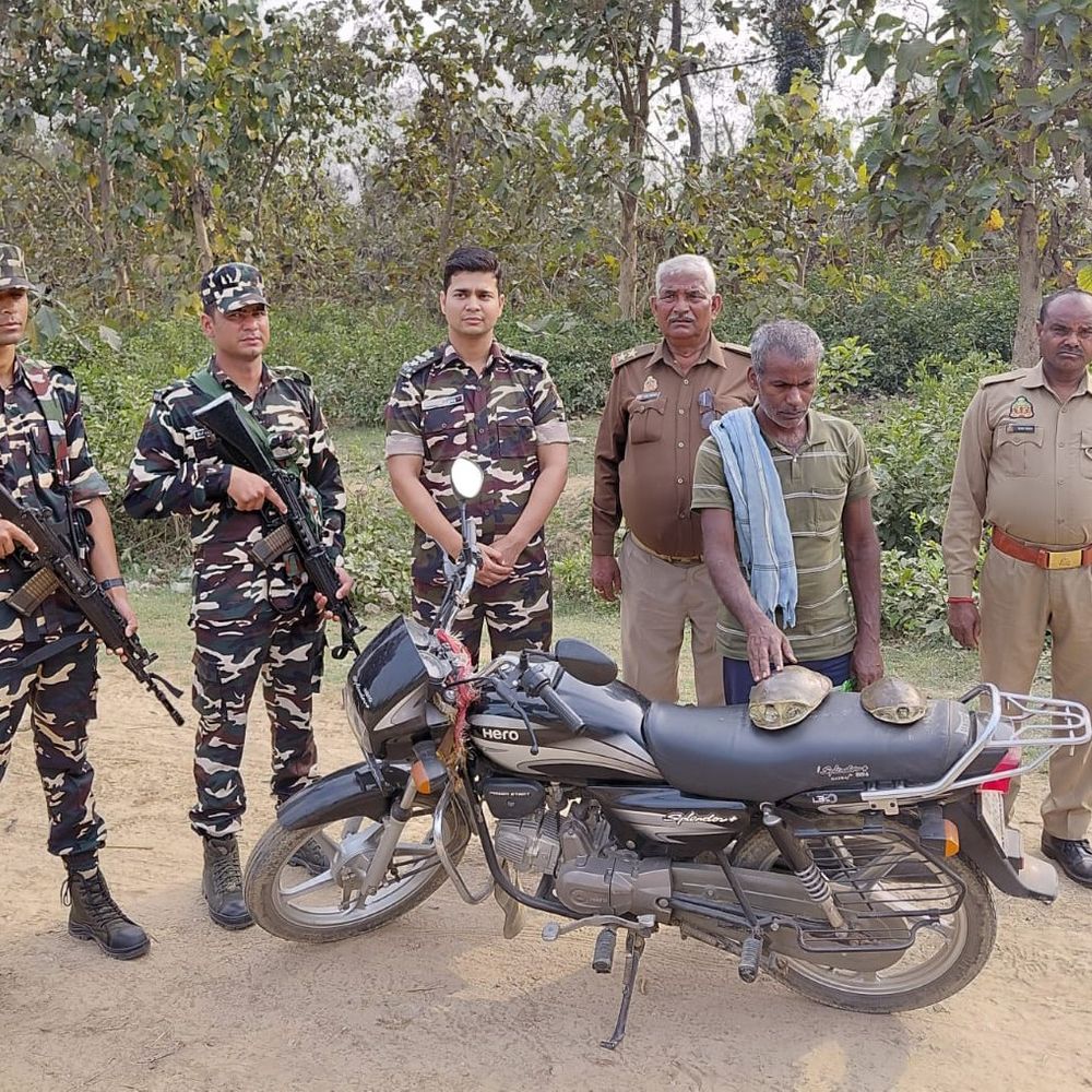 भारत-नेपाल सीमा पर कछुआ तस्कर गिरफ्तार:एसएसबी-वन विभाग ने 2 संरक्षित कछुए भी बरामद किए, 40 हजार में बेचने का था प्लान