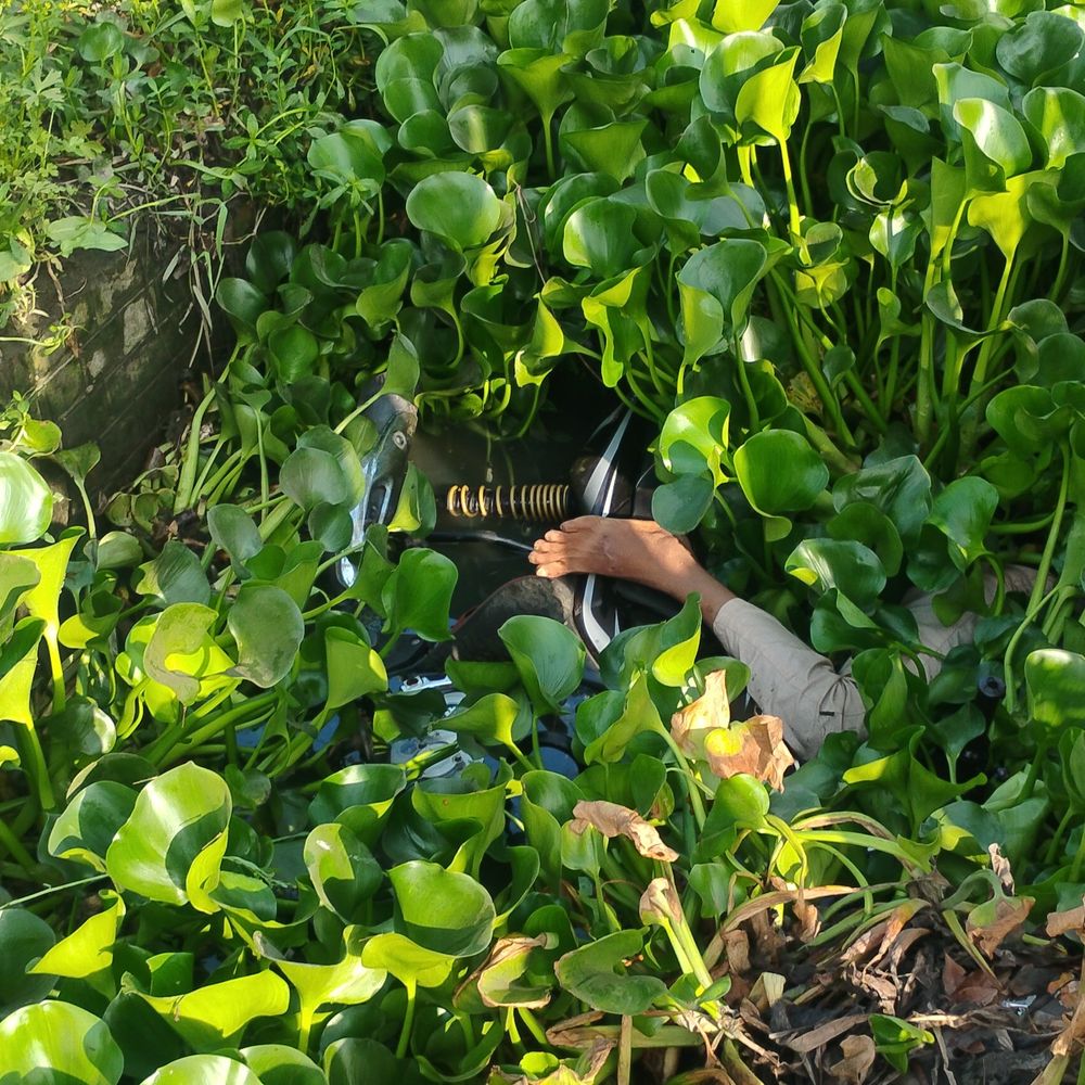 मथुरा में नाले से मिला बाइक सवार युवक का शव:नंदगांव से फालेन जाते समय हुआ हादसा, पुलिस जांच में जुटी