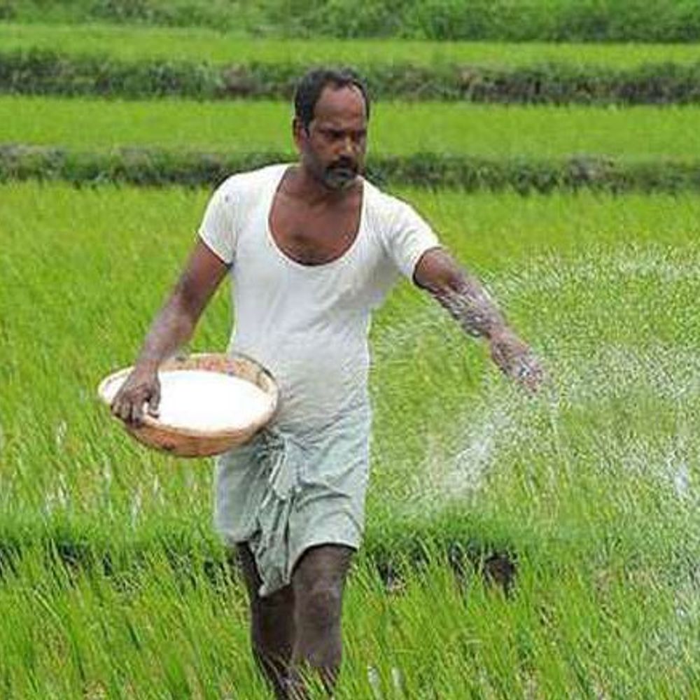 युद्ध लंबा चला तो खेती भी होगी प्रभावित:खरीफ सीजन में यूरिया और डीएपी की हो सकती है कमी, शिपिंग लागत बढ़ने से उछाल