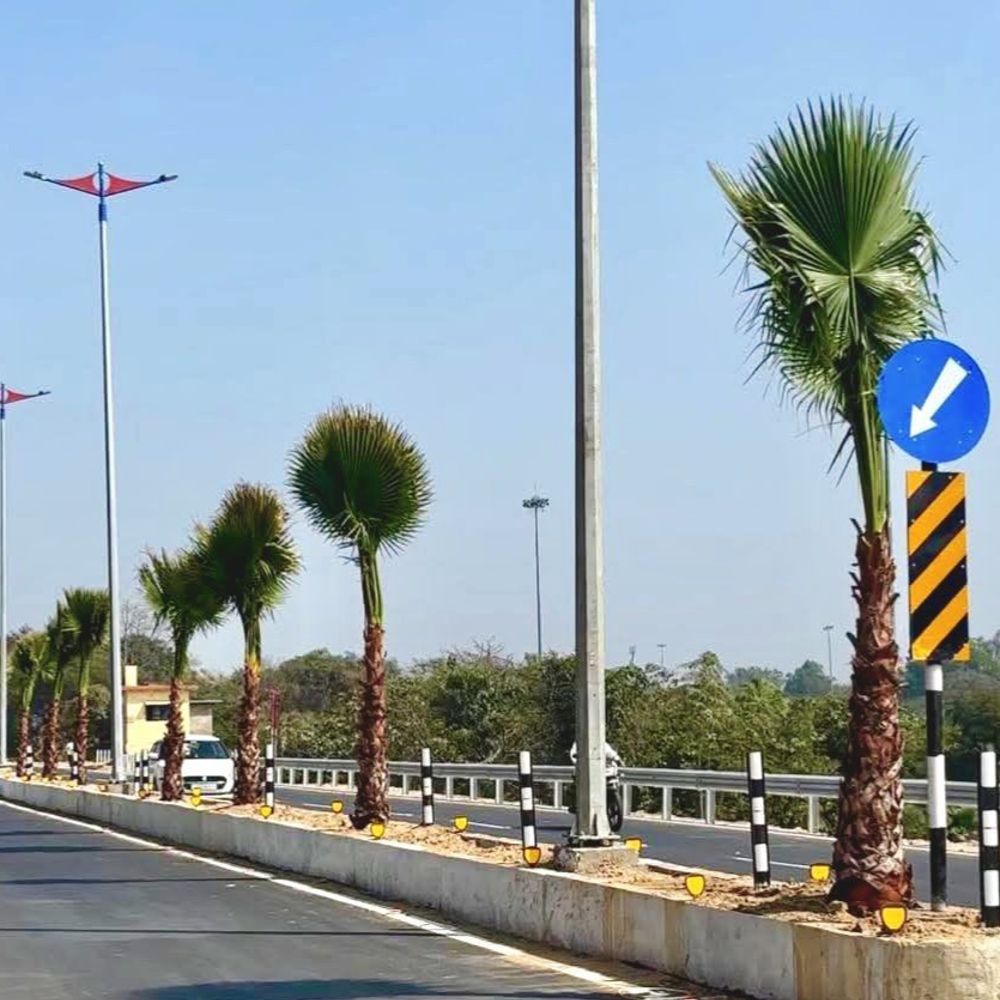 लखनऊ में ग्रीन बेल्ट पर बनेंगे खूबसूरत पार्क:5 जगहों पर ओपन जिम और बच्चों के लिए झूले लगेंगे