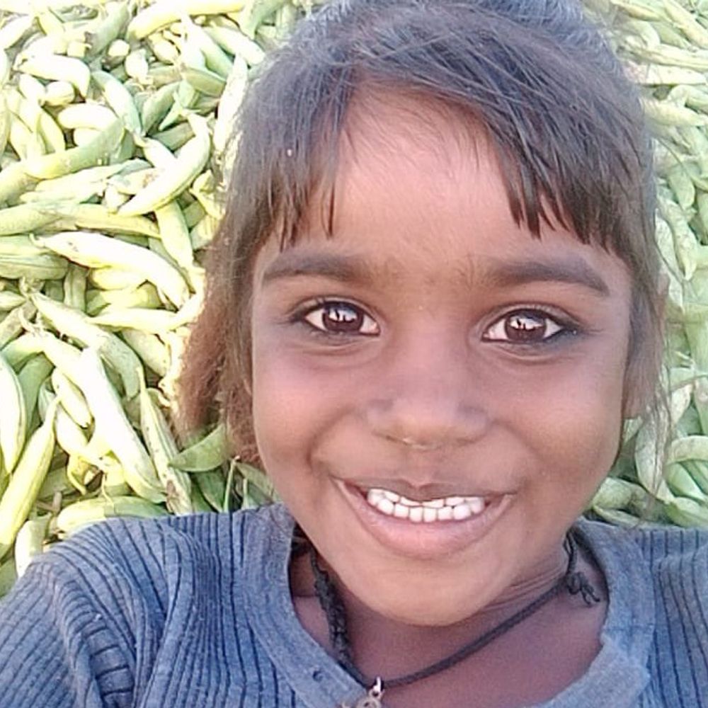 आकाशीय बिजली की चपेट में आने से छात्रा की मौत:कासगंज में खेत में गई थी बच्ची, जांच में जुटी पुलिस