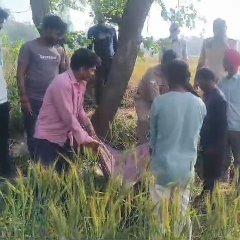 शीशम के पेड़ से लटका मिला अज्ञात शव:रायबरेली में पुलिस ने कब्जे में लेकर पोस्टमार्टम के लिए भेजा, जांच जारी