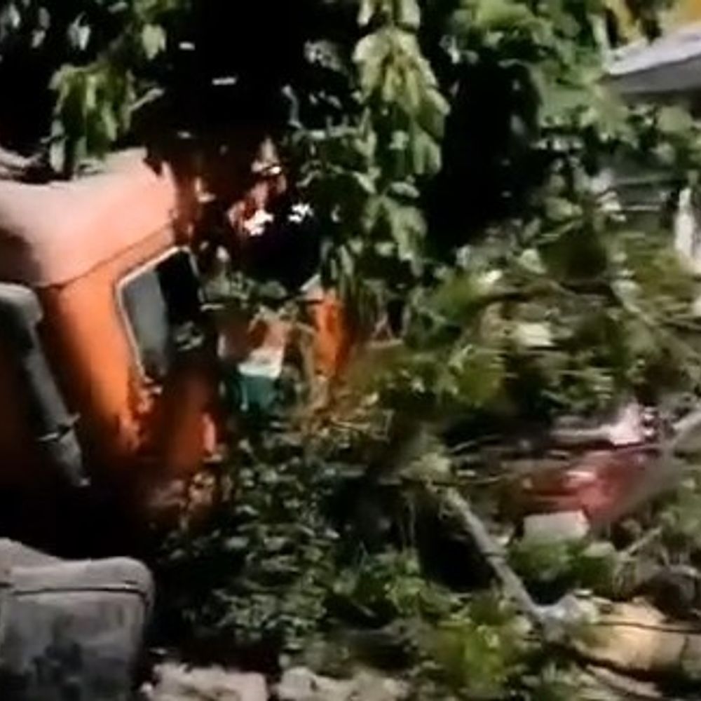 कंटेनर की टक्कर से तीन युवकों की मौत:रात करीब साढ़े 12 बजे हादसा, टक्कर के बाद कंटेनर पेड़ से जा टकराया, मृतकों की शिनाख्त नहीं