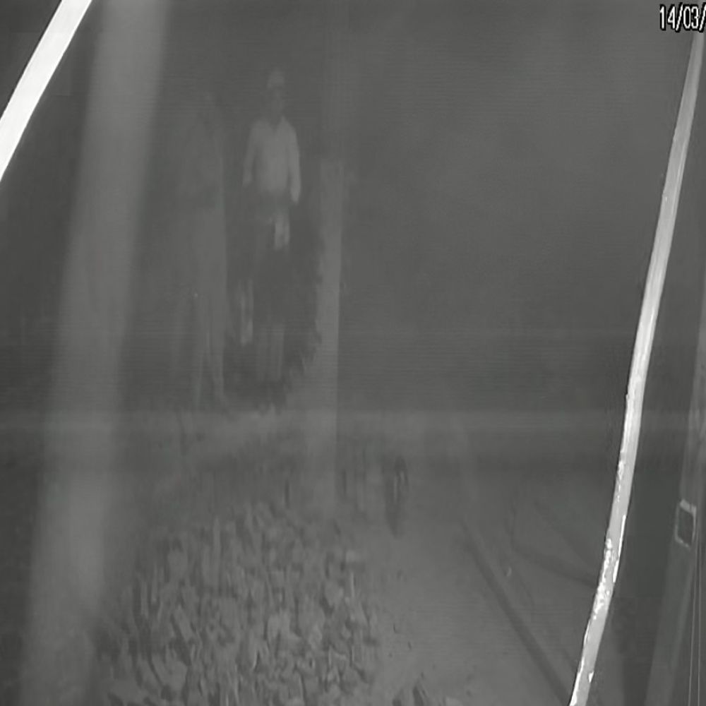 बुलंदशहर में महिला पर जानलेवा हमला, VIDEO:युवक ने लाठी-डंडों से पीटा, धमकी देकर फरार, घटना सीसीटीवी में कैद