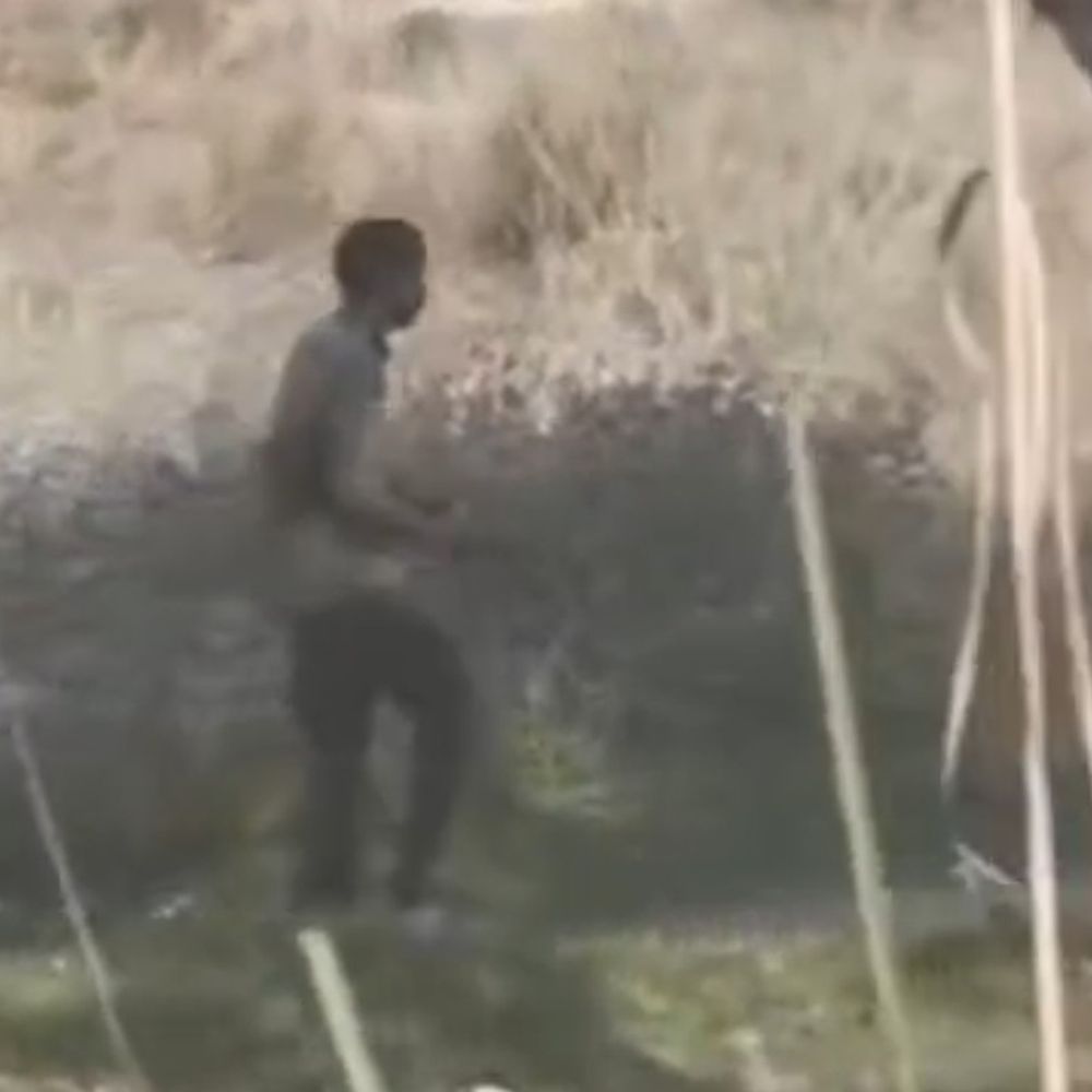 अंबेडकरनगर में नीलगाय का अवैध शिकार किया:गर्दन पर कटने का था निशान, एक आरोपी सहित अज्ञात के खिलाफ मुकदमा दर्ज