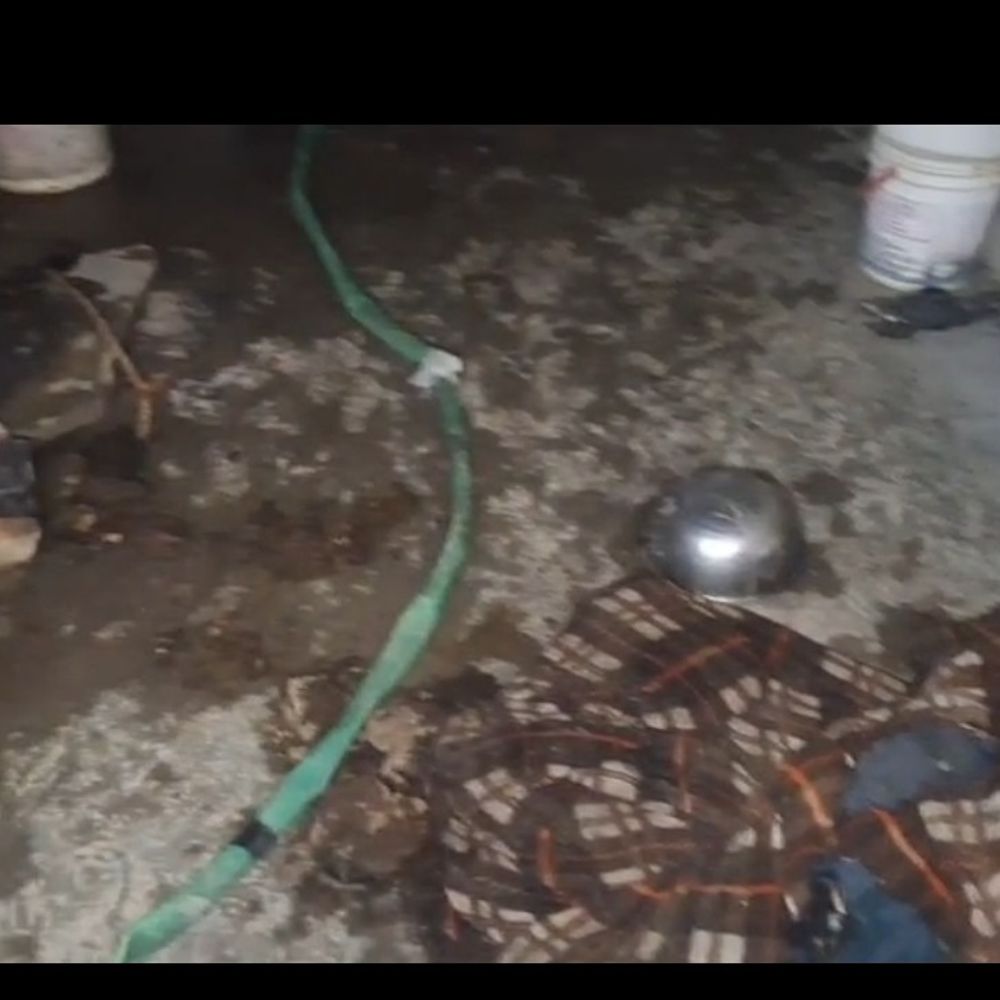 हाथरस में सिलेंडर लीकेज से घर में आग:एक बच्चे सहित 5 लोग झुलसे, पुलिस ने मौके पर पहुंचकर की जांच पड़ताल