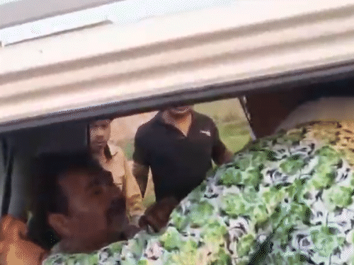 महिला ने कार में घुसकर ठग को जमकर पीटा:बोलीं- इसने मेरे पापा को मार दिया; कानपुर में 35 लोगों से 2 करोड़ ठगे