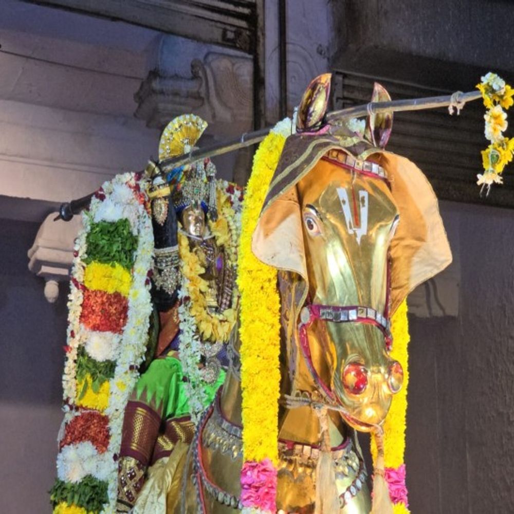 सोने के घोड़े पर विराजमान हुए भगवान रंगनाथ:आतिशबाजी से रोशन हुआ आसमान, मंदिर पहुंचने पर भगवान के साथ हुई लूट