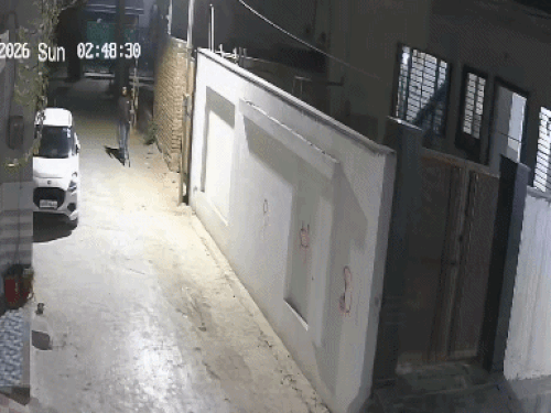 नारनौल में निर्माणाधीन मकान से बिजली की तार चोरी, VIDEO:  सीढ़ी लगाकर मकान में घुसा चोर, करीब 50 हजार रुपये की वायर ले गया – Narnaul News