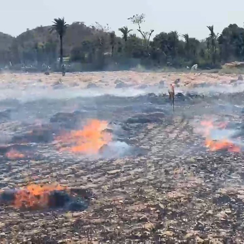 सराड़ा में खेत में रखी फसल में लगी आग:  किसान का हुआ नुकसान, बिजली की लाइन से चिंगारी की आशंका – Salumber News
