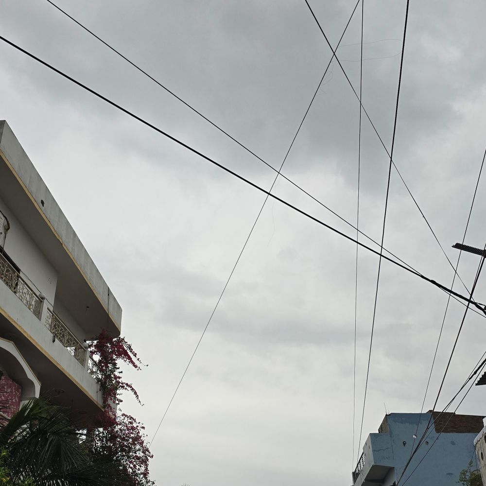 बिजनौर में देर रात तेज बारिश, हवा से बदला मौसम:गेहूं की फसल को नुकसान, गन्ने की बुवाई प्रभावित, पेड़ गिरे