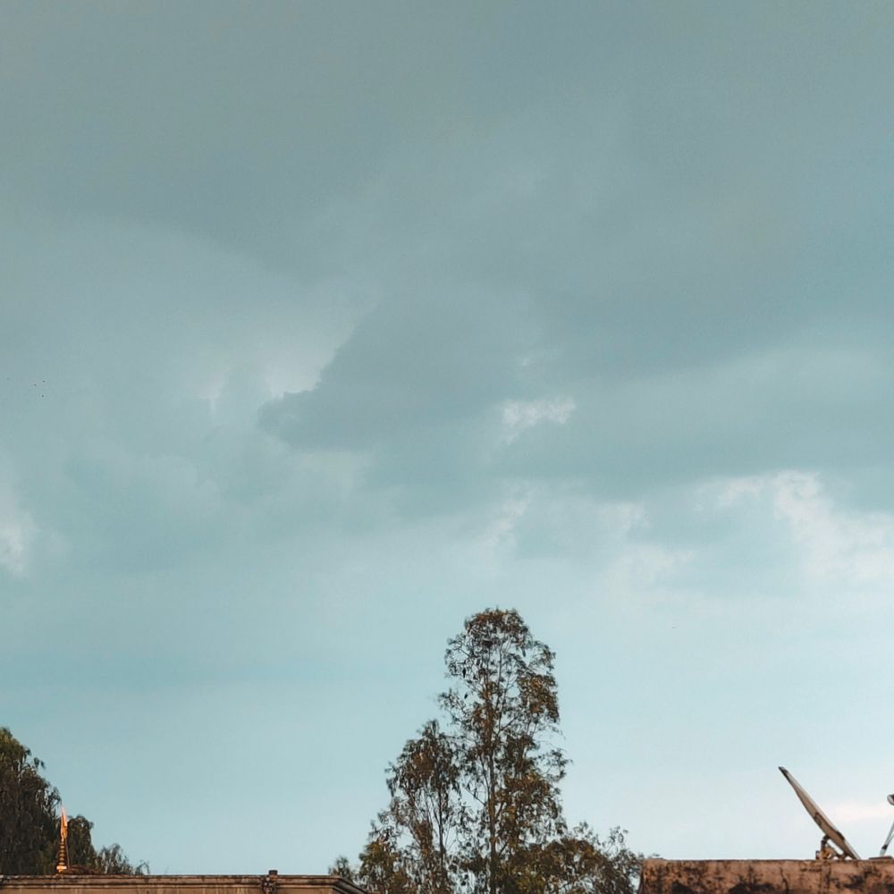 मुजफ्फरनगर में बारिश-ओलावृष्टि से फसलों को भारी नुकसान:सरसों, गेहूं, आम की फसलें प्रभावित; तापमान 18°C, AQI 59